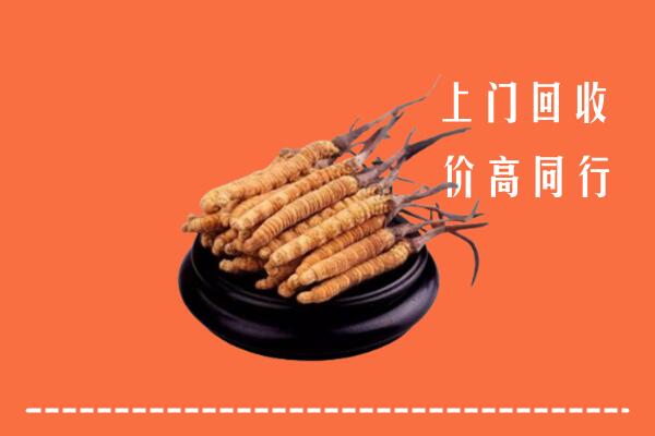 高价求购：山南回收散虫草