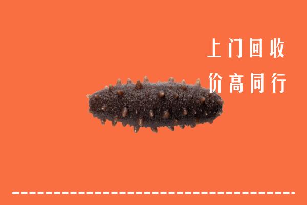 高价求购：山南回收海参