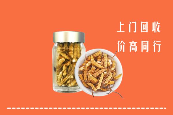 山南回收冬虫夏草